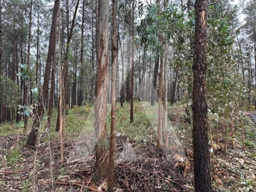 Terreno para Venda em Marrazes e Barosa