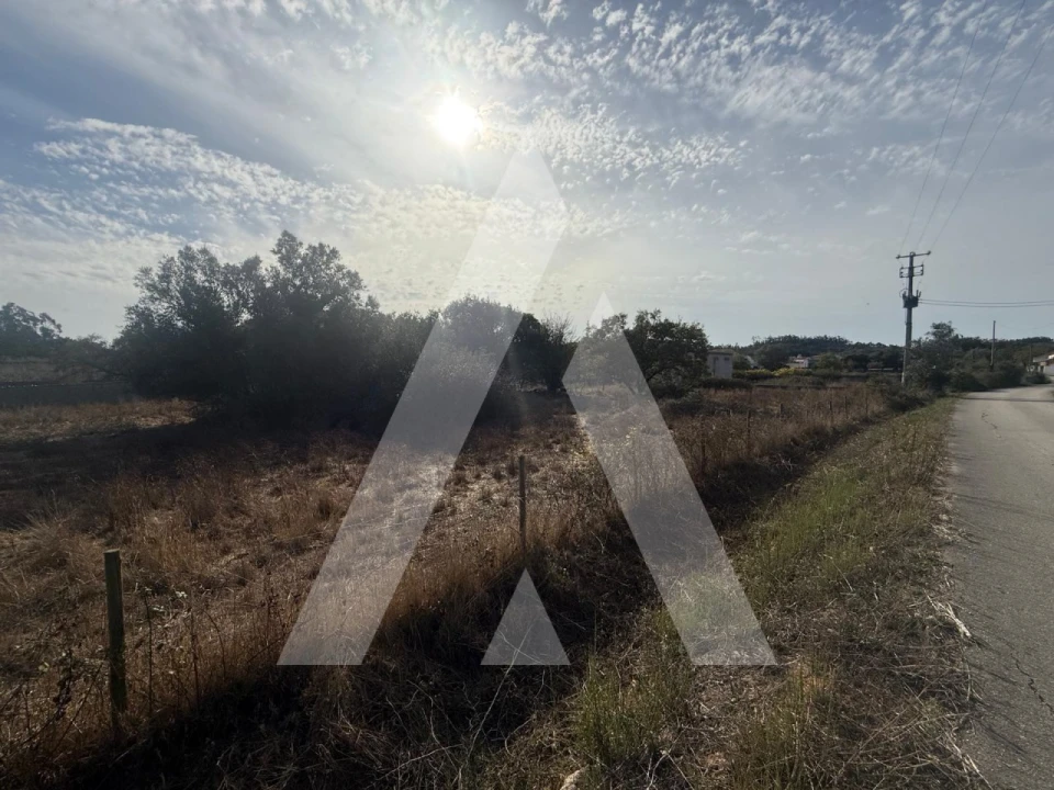 Terreno Comércio / Armazém para Venda em Turquel Foto 5