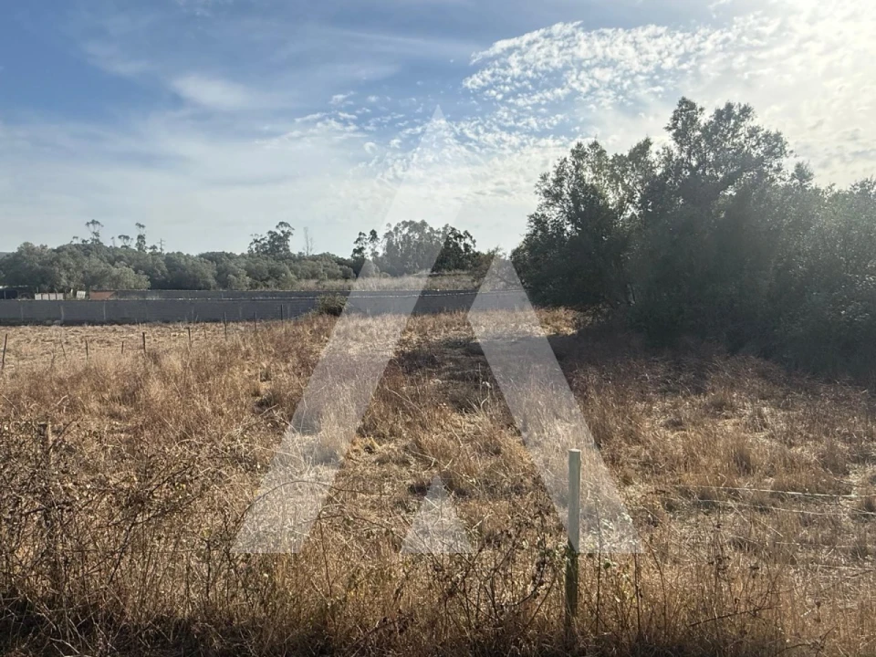 Terreno Comércio / Armazém para Venda em Turquel Foto 9