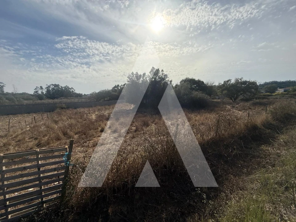 Terreno Comércio / Armazém para Venda em Turquel Foto 15