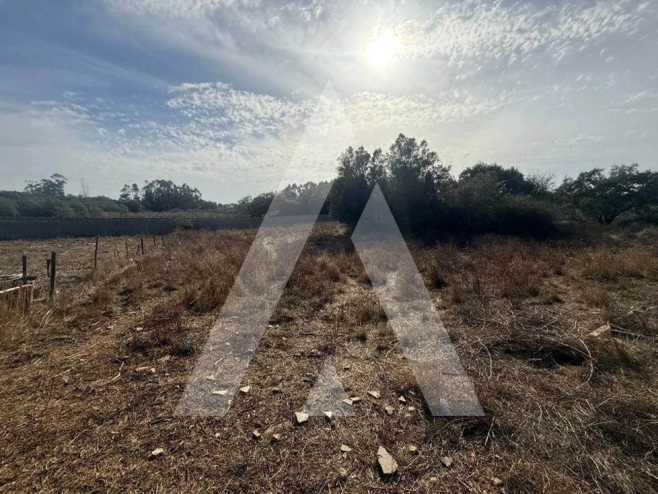 Terreno Comércio / Armazém para Venda em Turquel Foto 19