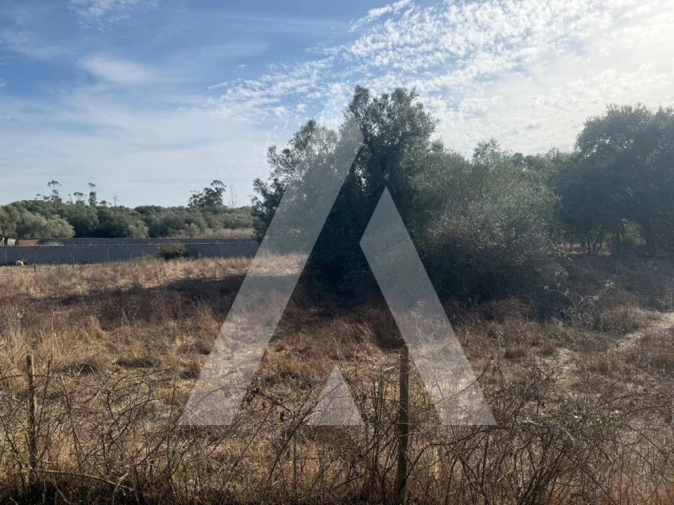 Terreno Comércio / Armazém para Venda em Turquel Foto 24