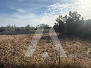 Terreno Comércio / Armazém para Venda em Turquel