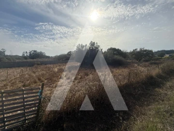 Terreno Comércio / Armazém para Venda em Turquel