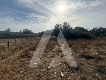 Terreno Comércio / Armazém para Venda em Turquel