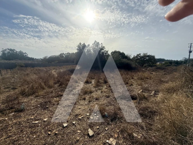 Terreno Comércio / Armazém para Venda em Turquel Foto 10