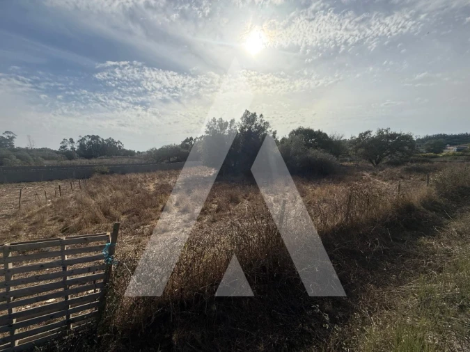 Terreno Comércio / Armazém para Venda em Turquel Foto 14
