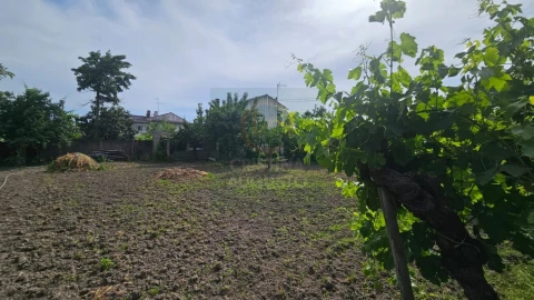 Terreno para Venda em Escalos de Cima e Lousa