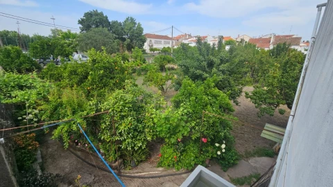 Terreno para Venda em Escalos de Cima e Lousa