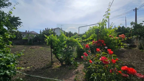 Terreno para Venda em Escalos de Cima e Lousa