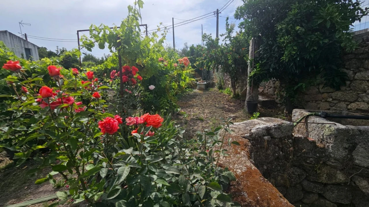 Terreno para Venda em Escalos de Cima e Lousa Foto 9