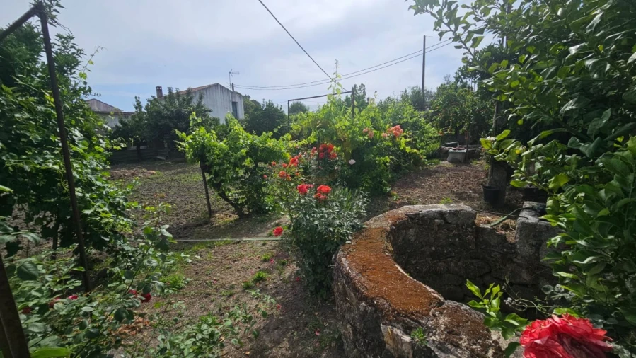 Terreno para Venda em Escalos de Cima e Lousa Foto 6