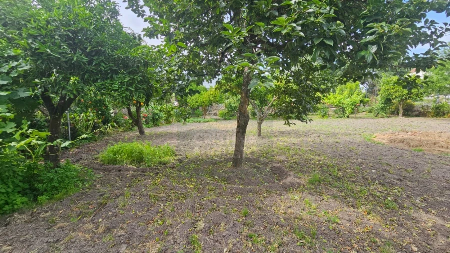 Terreno para Venda em Escalos de Cima e Lousa Foto 11
