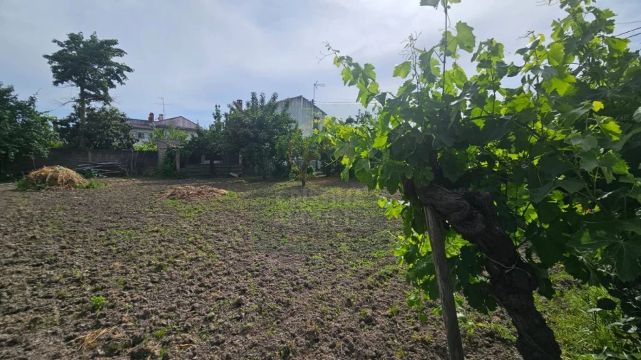 Terreno para Venda em Escalos de Cima e Lousa Foto 3