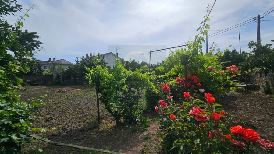 Terreno para Venda em Escalos de Cima e Lousa Foto 10