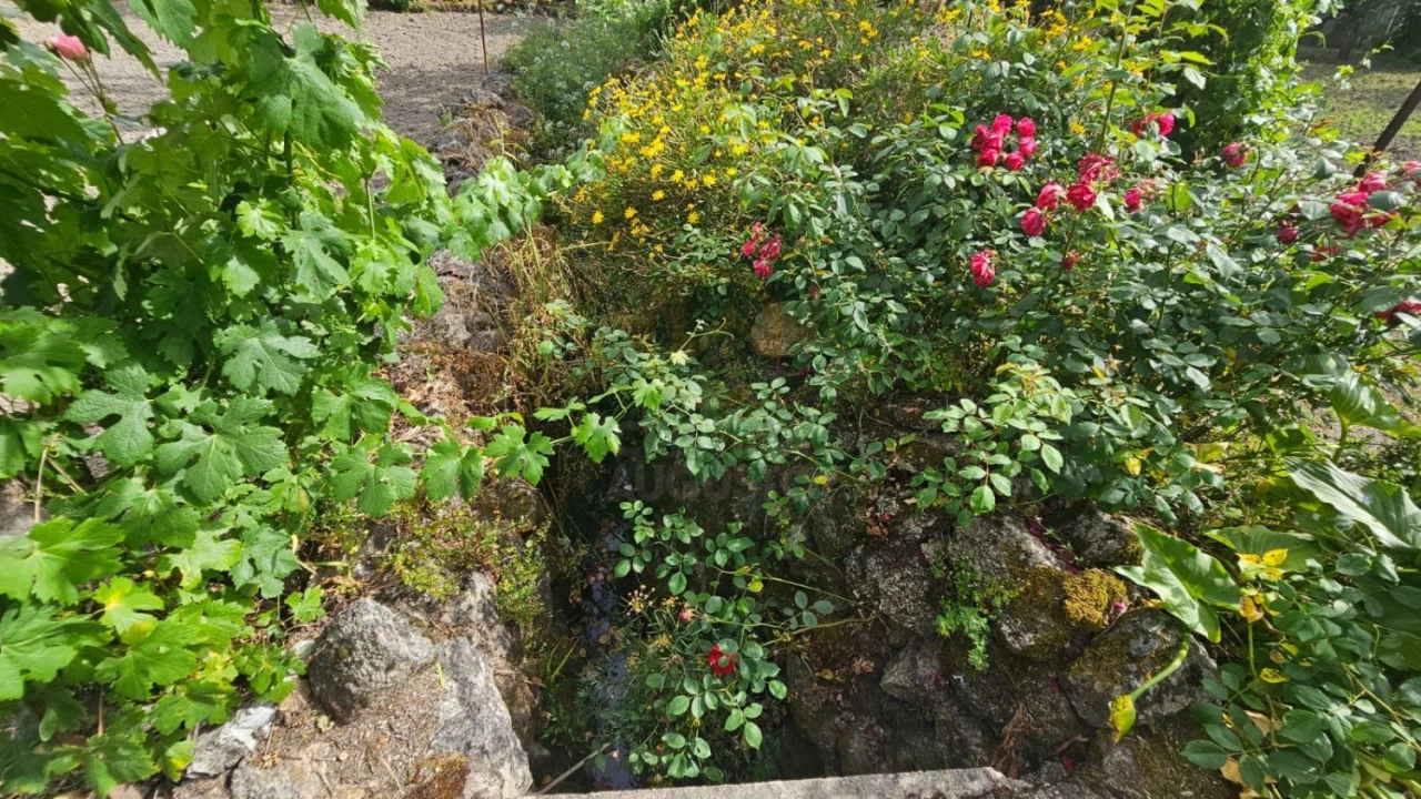 Terreno para Venda em Escalos de Cima e Lousa Foto 7