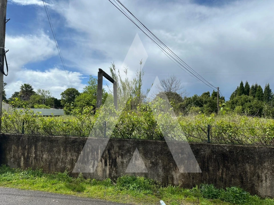 Terreno para Venda em Oliveira do Bairro Foto 6