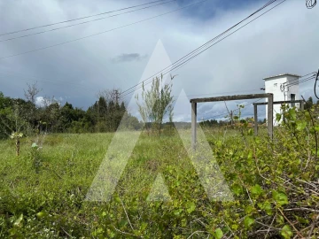 Terreno para Venda em Oliveira do Bairro