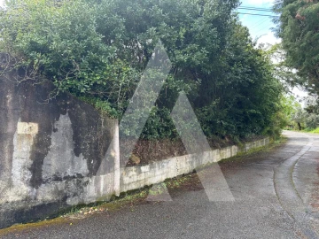 Terreno para Venda em Oliveira do Bairro