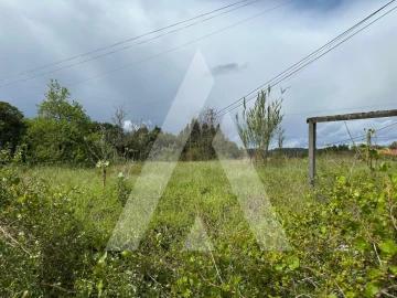 Terreno para Venda em Oliveira do Bairro