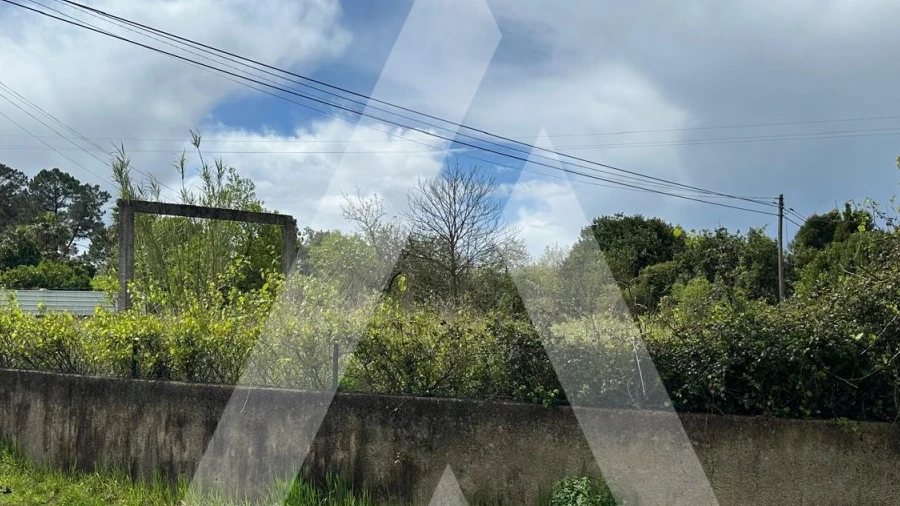 Terreno para Venda em Oliveira do Bairro
