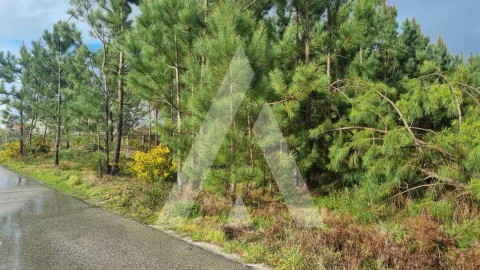 Terreno para Venda em Marinha Grande