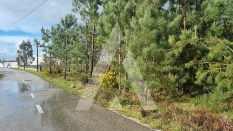 Terreno para Venda em Marinha Grande