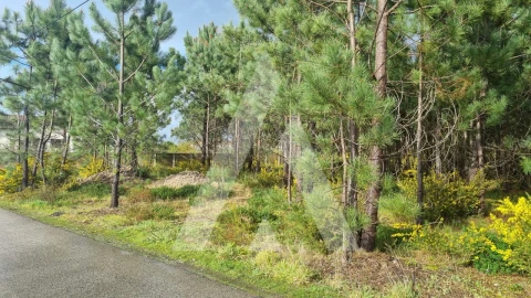 Terreno para Venda em Marinha Grande