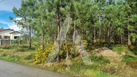 Terreno para Venda em Marinha Grande