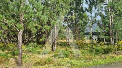 Terreno para Venda em Marinha Grande