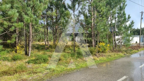 Terreno para Venda em Marinha Grande