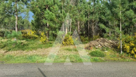 Terreno para Venda em Marinha Grande