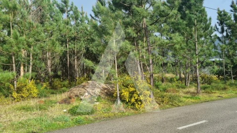 Terreno para Venda em Marinha Grande