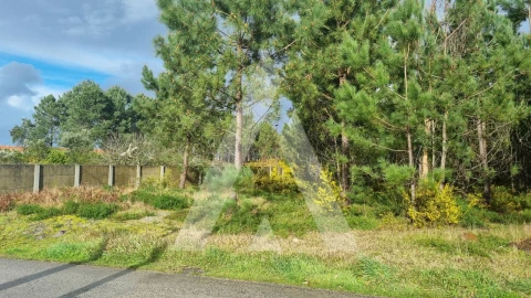 Terreno para Venda em Marinha Grande