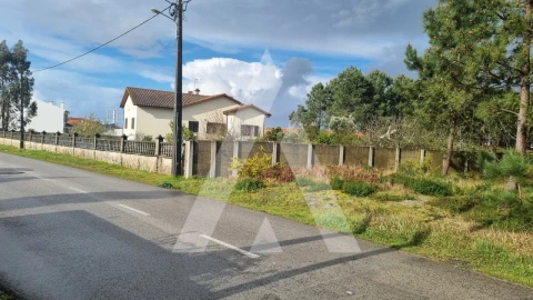 Terreno para Venda em Marinha Grande