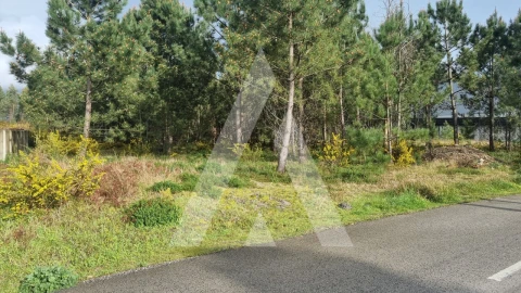 Terreno para Venda em Marinha Grande