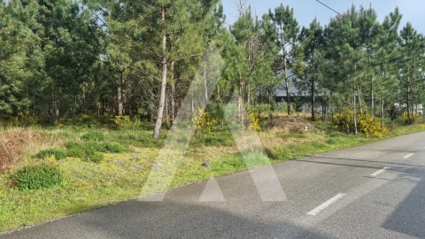 Terreno para Venda em Marinha Grande