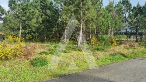 Terreno para Venda em Marinha Grande