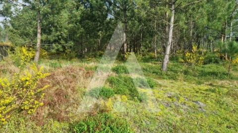 Terreno para Venda em Marinha Grande