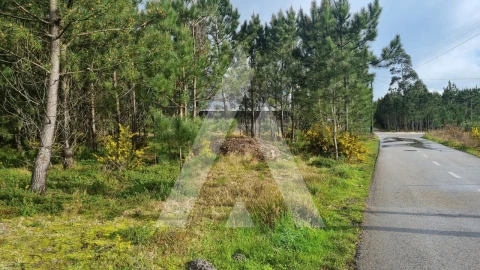 Terreno para Venda em Marinha Grande