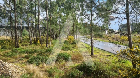 Terreno para Venda em Marinha Grande