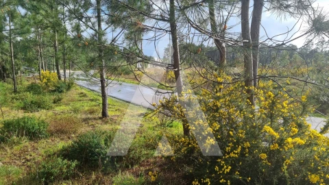 Terreno para Venda em Marinha Grande