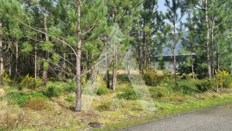 Terreno para Venda em Marinha Grande