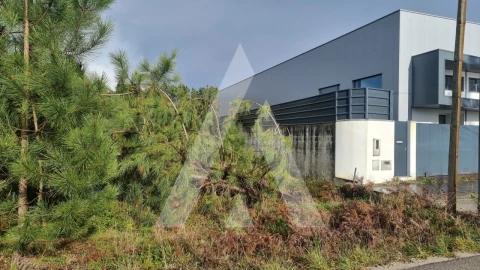 Terreno para Venda em Marinha Grande