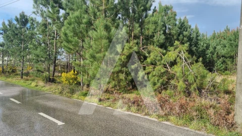 Terreno para Venda em Marinha Grande
