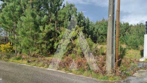 Terreno para Venda em Marinha Grande