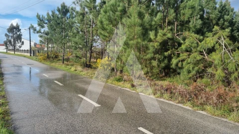 Terreno para Venda em Marinha Grande