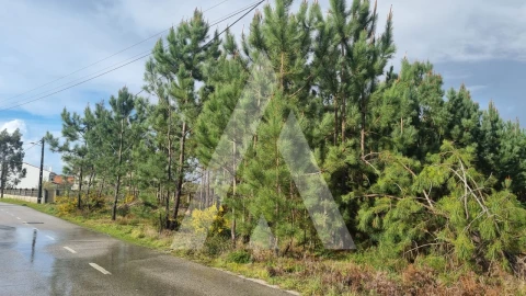 Terreno para Venda em Marinha Grande