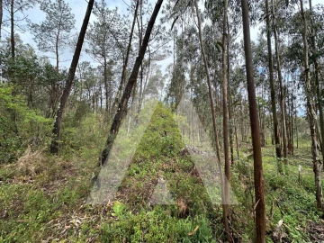 Terreno para Venda em Marrazes e Barosa