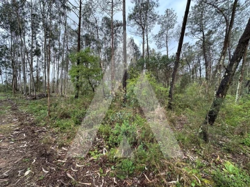 Terreno para Venda em Marrazes e Barosa